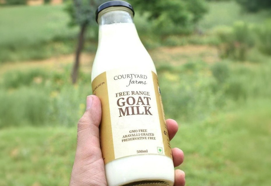 Fresh Goat Milk